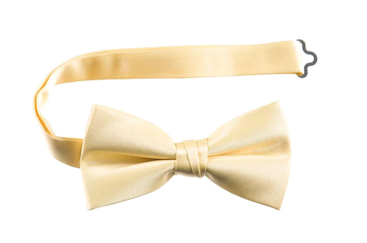 Adjustable Pre-Tied Bow Tie in Deluxe Polyester Satin | Men's & Boy's Sizes