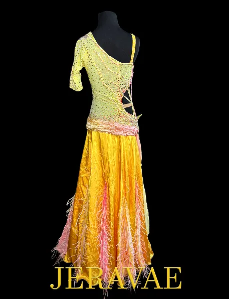 Yellow Smooth Ballroom Dress with One Half Sleeve, Side Cutout, Ruching and Flower Detail on Hips, Stones, and Feathers Sz S Smo