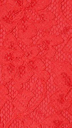 Zarita Lace Dress Red